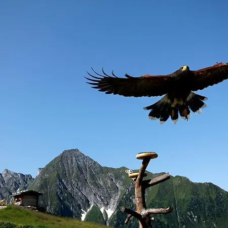 Gastehaus Ahornblick Mayrhofen